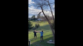 Kids Help Rescue Cat In A Tree