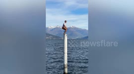 Parkour stuntman suffers serious injury after backflip goes wrong