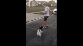 When Your Son Doesn't Like Cleaning Up After the Dog