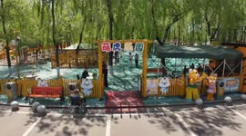 China: Siberian tiger cubs delight visitors in northeast China park