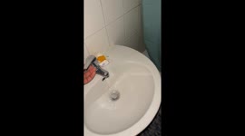 Why Is My Sink Controlling the Power in My Bathroom?