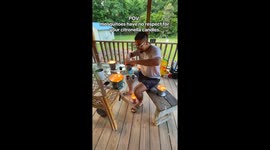 Deck vibes interrupted by a kamikaze mosquito