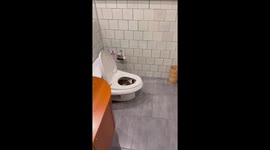 Resident shocked to find massive python curled up in toilet bowl