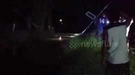 Crocodile caught and dragged by car after killing father in Indonesia