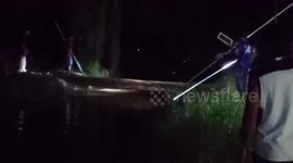 Crocodile caught and dragged by car after killing father in Indonesia