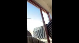 Zebra enters house through sliding door in Bot River, South Africa