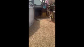U.S. Airman Surprises Mom At Easter Celebration