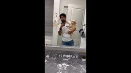 Golden Retriever Grows Up Fast In Selfie Series