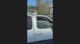Cool Dog Can't Be Bothered By Haters' Barking