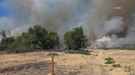 US, Bakersfield: Bakersfield Vegetation Fire Prompts Response From Fire Departments
