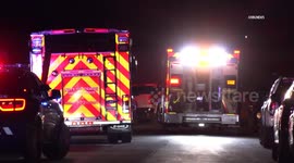 US, Phoenix: Tempe 3 People Mauled In Dog Attack With Sound On Tape