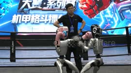 China: Humanoid robots with cutting-edge technology to shine at fighting competition