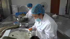China: Demand booms for sticky rice dumplings before traditional festival in north China's Shanxi