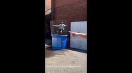 SRO Takes the Plunge at Hutchinson Middle School Event