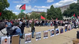 Germany: Hundreds of demonstrators hold pro-Palestinian protest in Germany