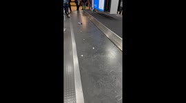 Lost luggage mystery: Just a suitcase handle circling at Boston Logan Airport