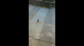 Child spins and chases swirling leaves before being pulled away in Guangdong, China