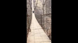 Monkey chases two men on suspension bridge during challenge in Henan, China