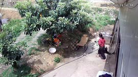 Rocking chair fall leads to dog bite in Guizhou, China