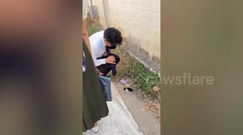 Stray cat litter hidden by mum under car's trunk rescued