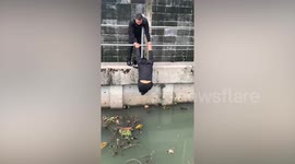Office workers rescue kitten from canal using their belts