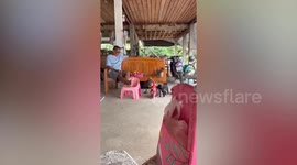 Clingy puppy follows toddler around house to play