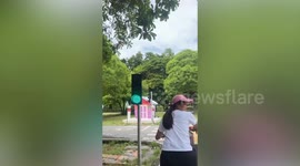 Clumsy girls on bicycles crash into each other and fall