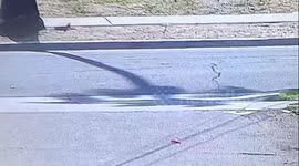 Vehicle Crashes Into Semi