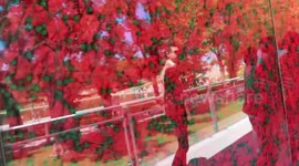 Poppy Wall of Honor Returns to National Mall to Remember Fallen