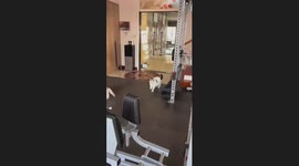 Cat scratches owner's leg as he works out in gym