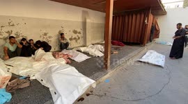 Nearly 50 killed in deadly Israeli strikes on shelter, home in Gaza (3)