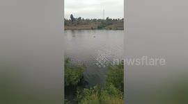 Social organisation rescued cow got stuck in the strong current river in Shahdol, Madhya Pradesh