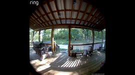 Bear climbs onto porch and checks around in Harrison, Arkansas, USA