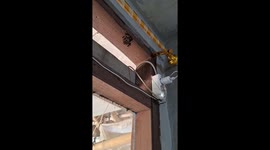 Man stung while fleeing after spraying wasp hive in Salatiga, Indonesia