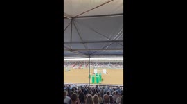 Horse crashes during hurdle jump in Berkshire, England