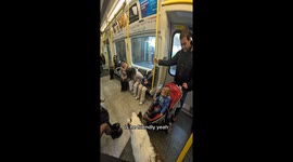 Friendly Interactions With Commuting Dog