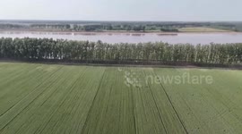 China: Chinese wheat farmers use drones to spray pesticides, fertilizers