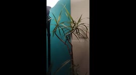 Chile: M5.7 Earthquake Hits Tarapacá Region