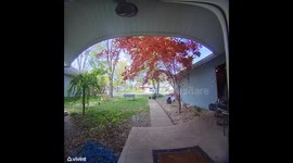 Missed the Step by a Millisecond