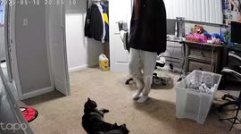 Cat Didn’t Want to Play Footsie