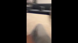 Pet Meerkat Runs After Jerboa