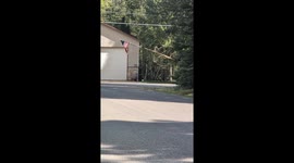 Turning a Log Into a Giant Flag Pole