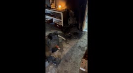 Exploded Lithium Battery Leaves House Covered in Ash