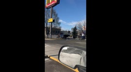 Moose at McDonalds