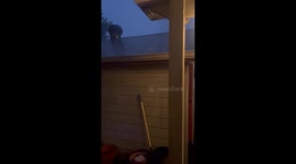 US: Tornado-Warned Storm Sweeps Through South and Central Texas, Bringing Large Hail