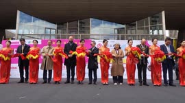 UK: UK Chinese Dragon Boat Festival kicks off in Manchester with vibrant races, performances