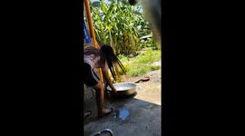 Pet dog runs over to basin to cool off on hot day