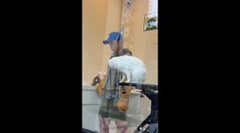 Aggressive cat surprises handler by leaping off platform in Jiangsu, China