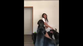 Playful Rottweilers knock over owner during fun moment in Distracción, Colombia
