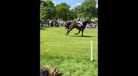 Dog chases rider and horse during Badminton Horse Trials in Gloucestershire, England